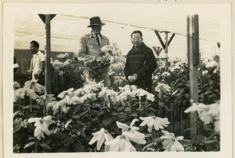 Mr. Nakata and son in a greenhouse (ddr-densho-37-1193)