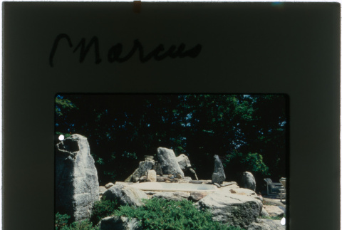 Garden at the Marcus project (ddr-densho-377-474)