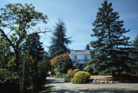 White house in the Garden (ddr-densho-354-1025)