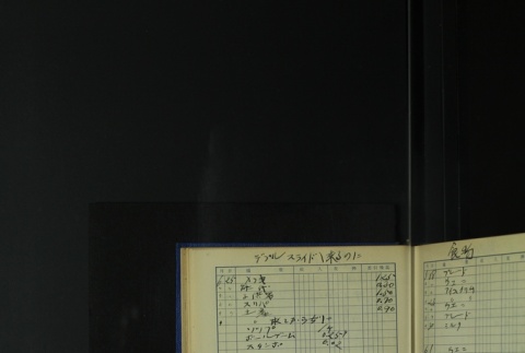 Page 411 (ddr-densho-255-6-master-554be54d46)