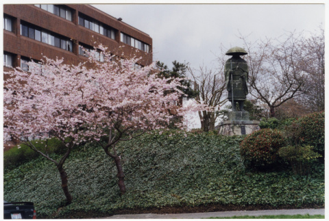 Shinran statue among the cherry blossoms (ddr-sbbt-4-185)
