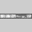 Negative film strip for Farewell to Manzanar scene stills (ddr-densho-317-162)