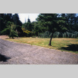 Left view of panorama from Entrance to Japanese Garden (ddr-densho-354-726)