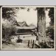 Kibitsu Shrine in Japan (ddr-densho-259-545)