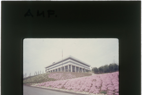 Landscaping at the AMF project (ddr-densho-377-922)