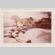 Frozen pond with water view (ddr-densho-377-1737)