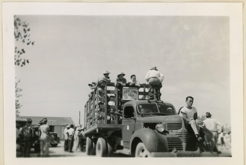 Volunteer cotton pickers (ddr-densho-37-947)