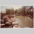 Pond from stepping stones (ddr-densho-377-2096)