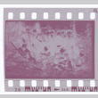 Film negative of hunting group (ddr-densho-383-456)