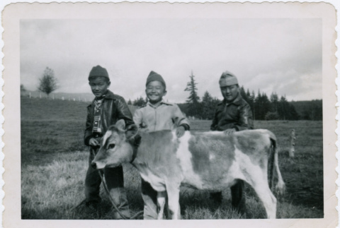 Children with a calf (ddr-densho-359-1245)