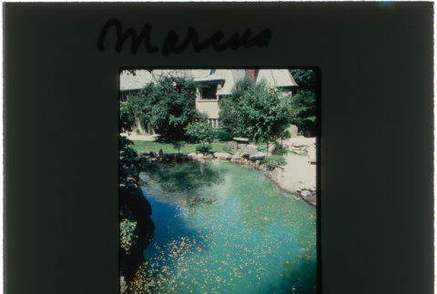 Pool at the Marcus project (ddr-densho-377-462)