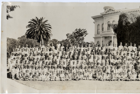 Panorama of students from Hollister Grammar School (ddr-densho-587-96)