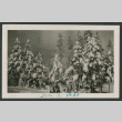 Snowy trees (ddr-densho-378-847)