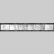 Negative film strip for Farewell to Manzanar scene stills (ddr-densho-317-263)