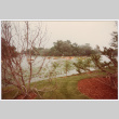 Paddle boats (ddr-densho-377-2298)