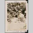 Baby sitting in garden bed (ddr-densho-483-589)