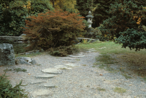 Japanese Garden looking West (ddr-densho-354-2611)
