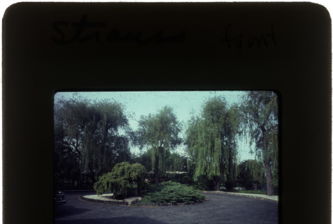 The front driveway and garden at the Straus project (ddr-densho-377-610)