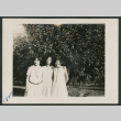 three women standing under a tree (ddr-densho-378-622)