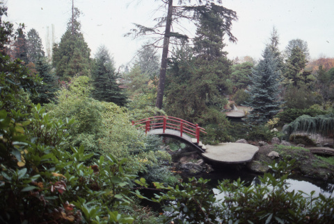 Pan left: view of the Moon Bridge from the platform (ddr-densho-354-1305)