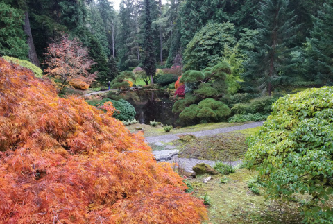 Japanese garden at Bloedel Reserve (ddr-densho-354-2258)