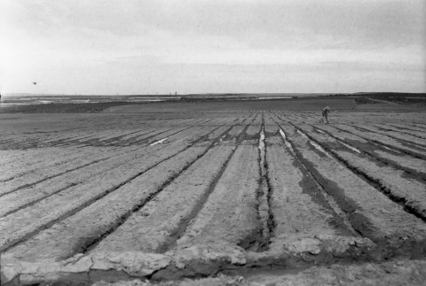 Tractors working agricultural fields (ddr-fom-1-795)