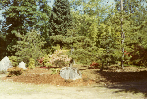 Backside of Fujitaro Kubota's Sitting Stone, west end of Stroll Garden behind the Meeting Lawn (ddr-densho-354-188)