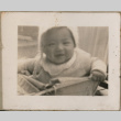 Set of four photos of baby on paper with title (ddr-densho-523-94)