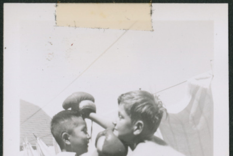 Photo of two boys boxing (ddr-densho-483-1394)