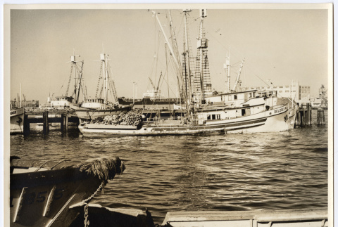 Fishing boat at a harbor (ddr-densho-542-854)