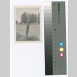Unidentified landscape (ddr-densho-255-127)