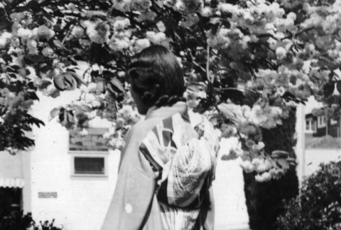 Woman in kimono, seen from back (ddr-ajah-6-266)