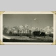View of Mt. Williamson from Manzanar (ddr-manz-4-79)