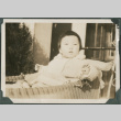 Photo of baby (ddr-densho-355-349)