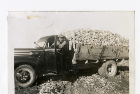 Nisei farm laborer driving a truck (ddr-csujad-38-73)
