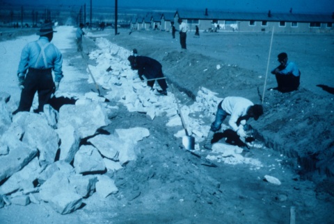 Japanese Americans building a drainage ditch (ddr-densho-160-42)