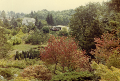 White house and shed from mountainside (ddr-densho-354-612)