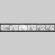 Negative film strip for Farewell to Manzanar scene stills (ddr-densho-317-190)