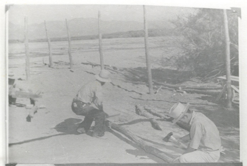 [Photograph of Japanese American incarceration camp constructing buildings] (ddr-csujad-29-108)