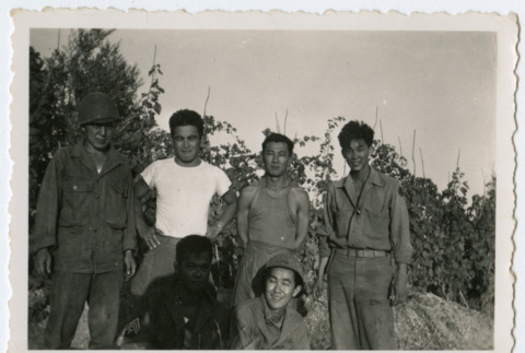 Posed group of soldiers of 442nd Regimental Combat Team in Italy (ddr-densho-368-60)