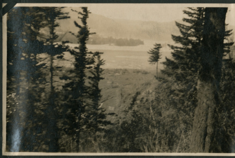 View from Columbia Highway (ddr-densho-359-506)