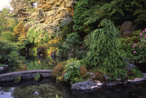 Eyeglass Bridge in the Japanese Garden (ddr-densho-354-887)