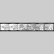 Negative film strip for Farewell to Manzanar scene stills (ddr-densho-317-221)