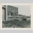 Crops grown in a bombed out area (ddr-densho-299-32)
