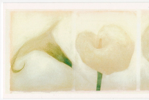 Card from Robert, Rachel, Michelle, Kristi, and Rev. Ken Stern (ddr-densho-329-1082)