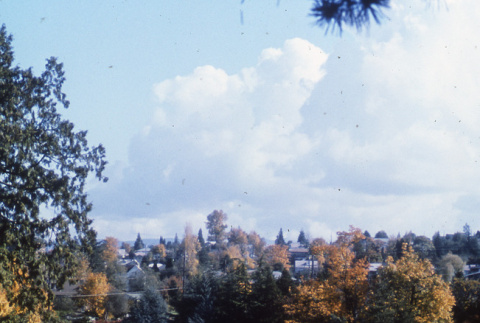 View from the Mountainside (ddr-densho-354-316)