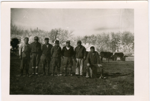 Seven men standing in field with cows (ddr-densho-329-1365)