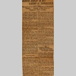Newspaper clipping regarding Gandhi (ddr-njpa-1-455)