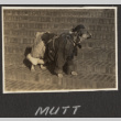 Mutt (ddr-densho-287-318)