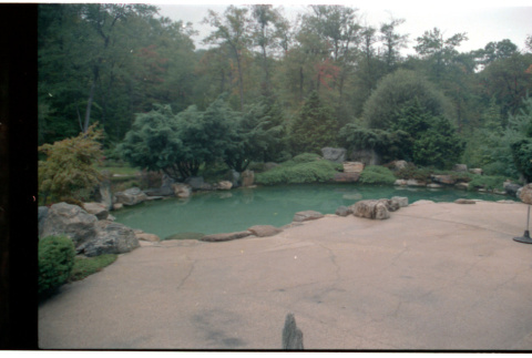 Pond with landscaping (ddr-densho-377-1812)